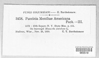 Image Associated With the Occurence